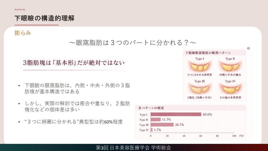4_下眼瞼の構造的理解（ふくらみ）